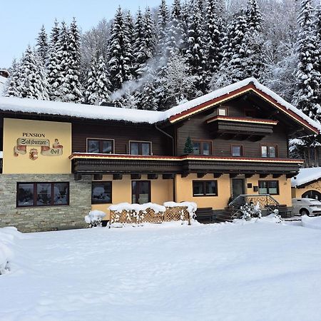 Apartments Salzburgerhof Зальбах-Хинтерглемм Экстерьер фото